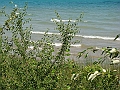Western Michigan [2010] 576